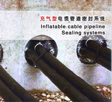 <b>��|�ܵ�����ͷ���ļҏ�</b>