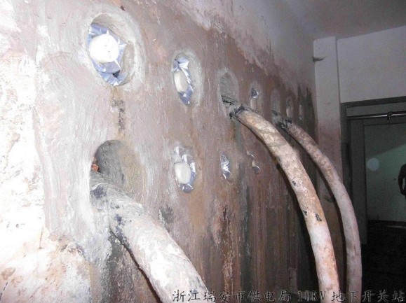 �_�Pվ��|�׶�