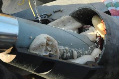 �D3���������¶˰l(f��)���z��䲻����