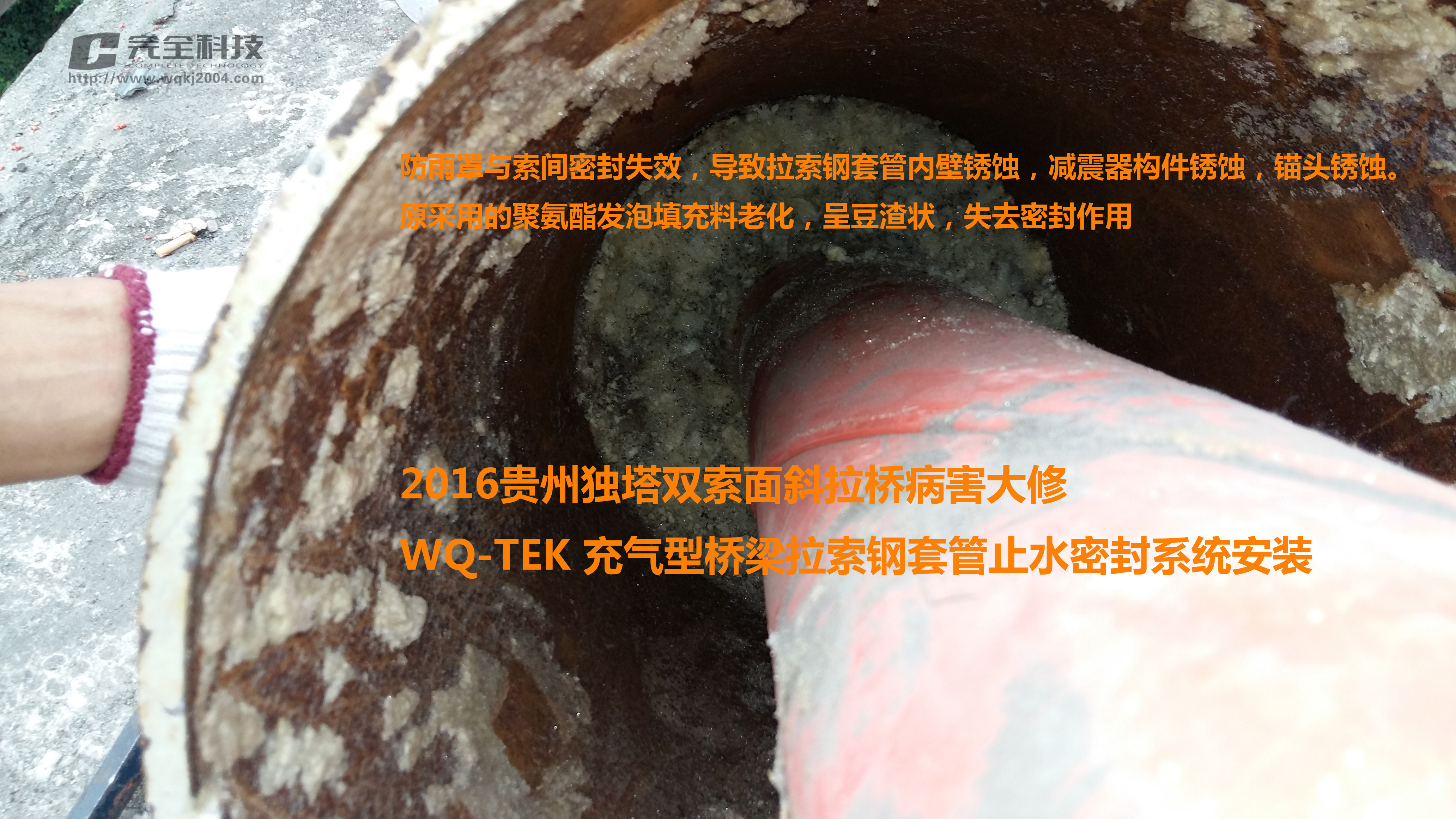 ������Ҋ�Ĳ��������µĽ�Q���g