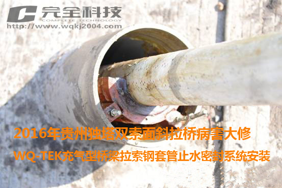 WQ-TEK���������ܳ�����ܷ�����ژ������̵đ���