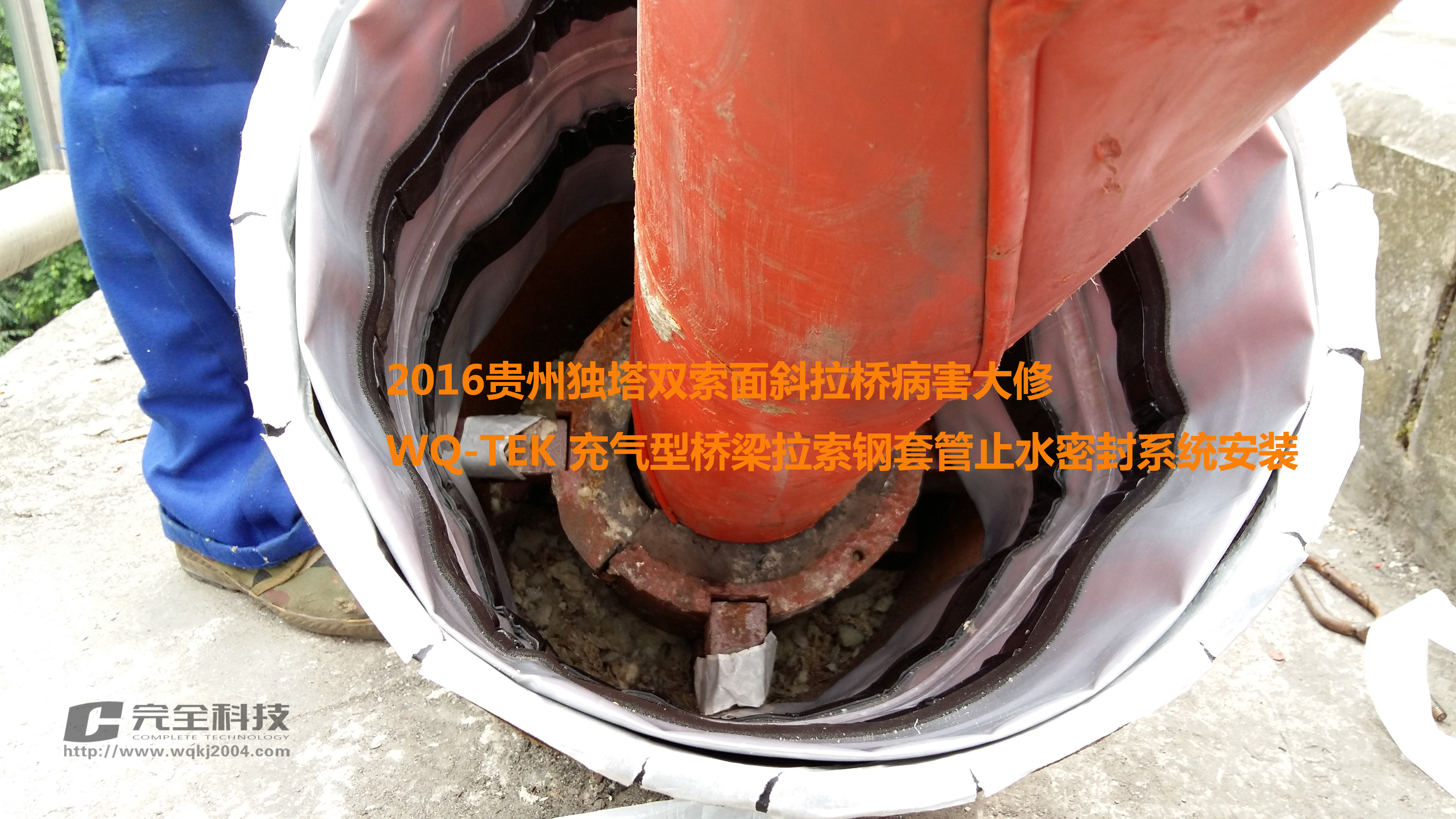 WQ-TEK���������ܳ�����ܷ���Ұ��b����