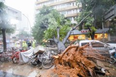 �����_(t��i)�L(f��ng)���R ������늾W(w��ng)�c(di��n)ٝ