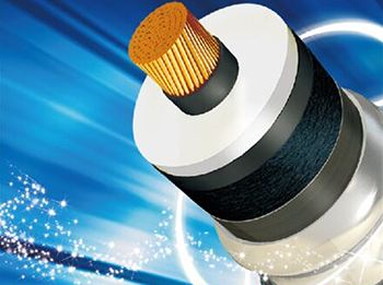 ���|�aƷ�Ј����g�ж��