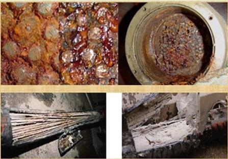 ���͘�����ˮ