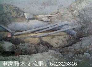 ׃�վ���l��|����