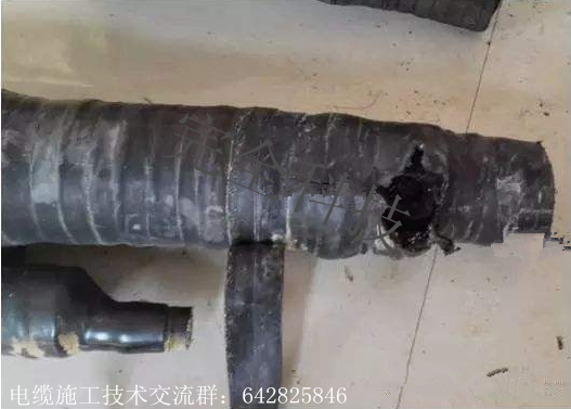 ׃�վ���l��|����