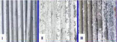 �������g�̶�