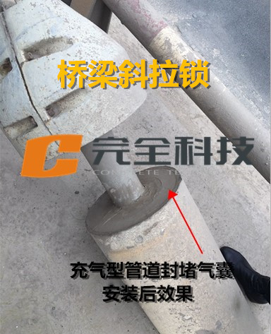 ���ܵ�����Ұ��b��Ч���D