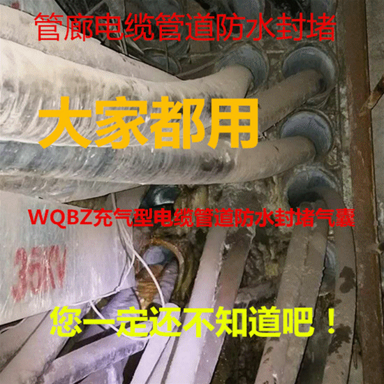 WQBZ�������|�ܵ������