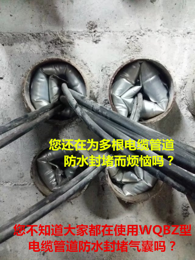 �ܵ�����ҹ��̑��ð���