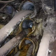 ��|�׶���²���