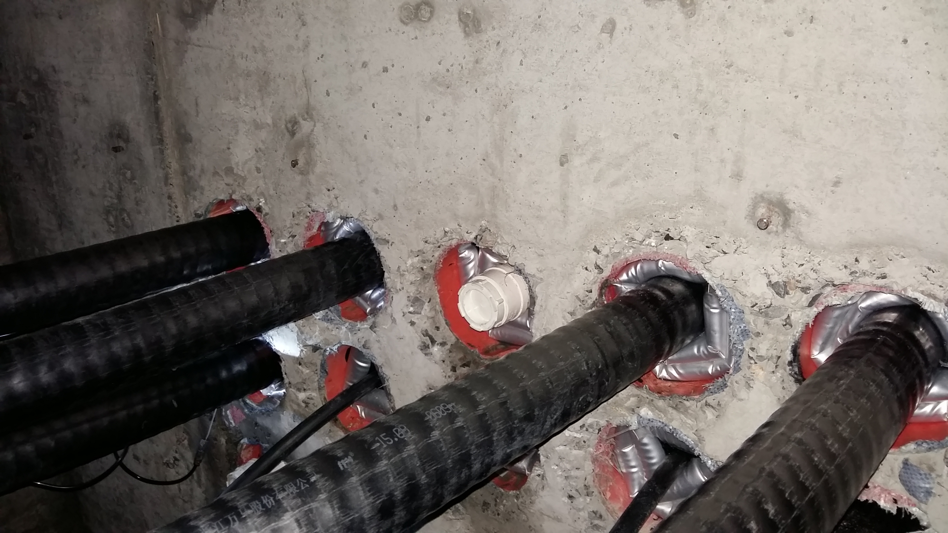 �Ϸ�1̖���F����ܵ���»��L