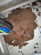 ����ܵ�����x�������ܷ����