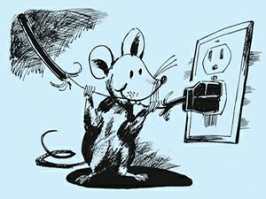 ����ܵ�����x�������ܷ����