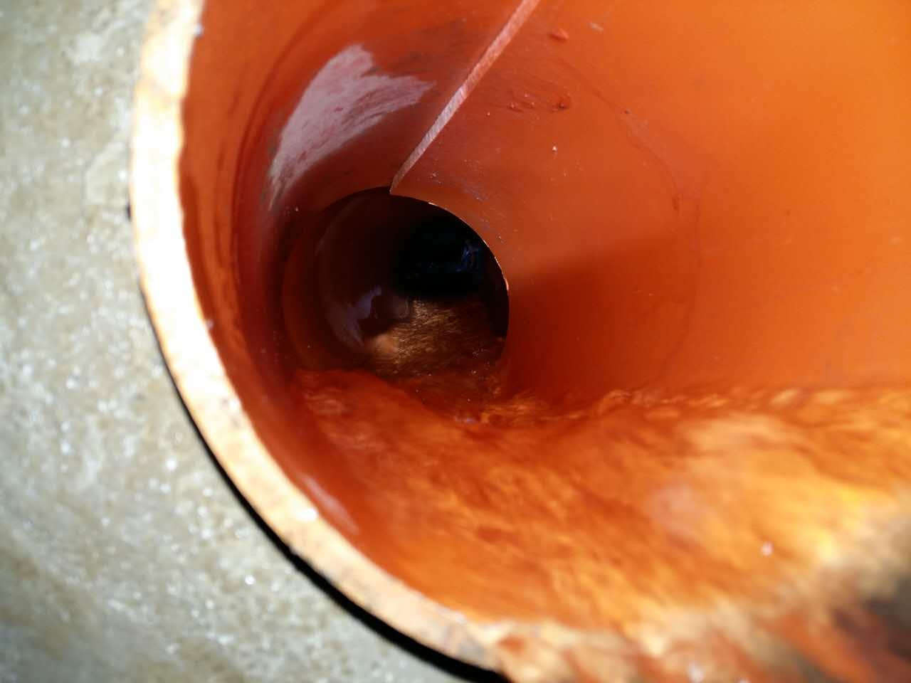 �����늓��ޑ���