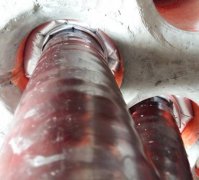 ���ʽ�ܷ���̎��θ������|�ķ�·���