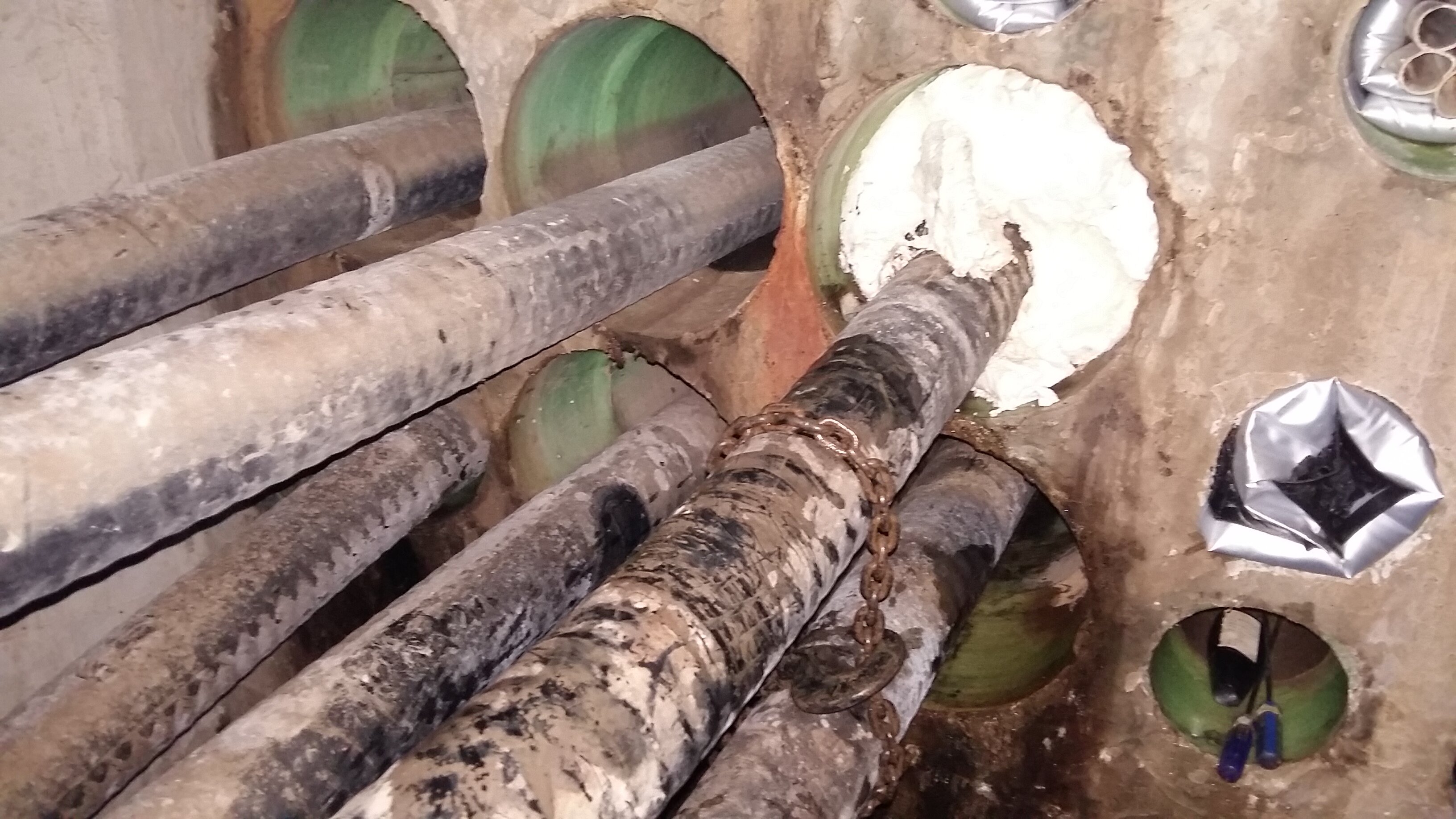 ���W(w��ng)�|��ʡĳ����������b�(xi��ng)Ŀ