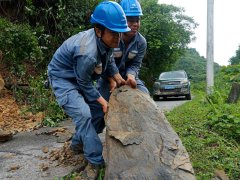 ��늾֑�(y��ng)���ױ���ȫ�����ޏ�(f��)�