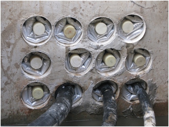 ����걩���쿹����ȝ���������ܵ�����Ү��ʲ�׌