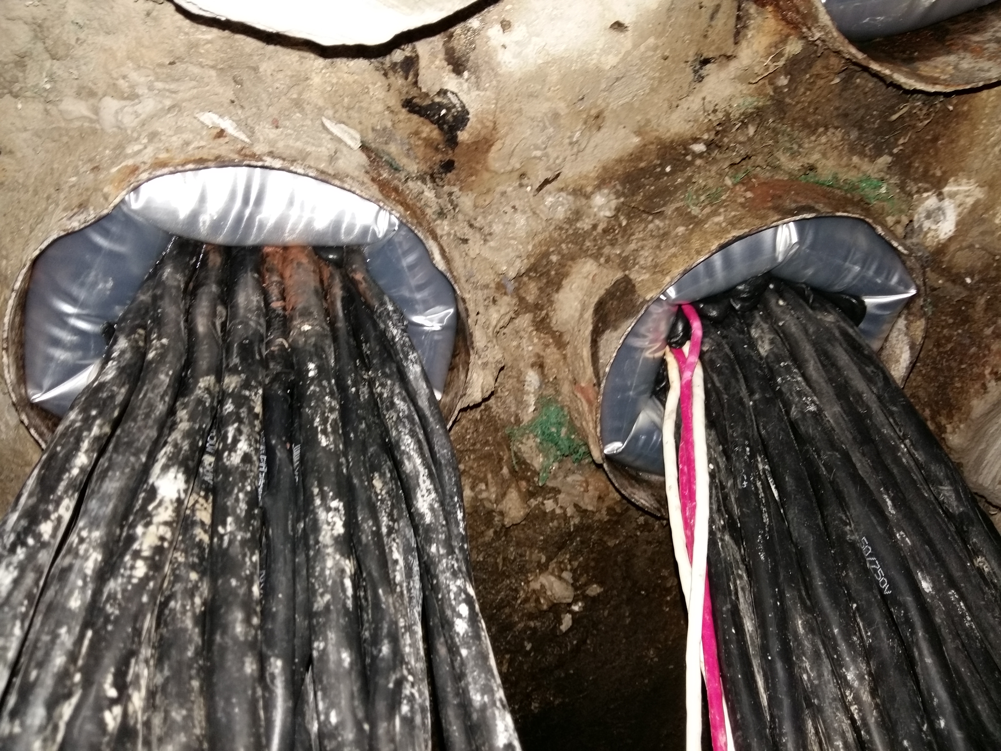 ��|�׹ܷ�²��Ϻö���Ч