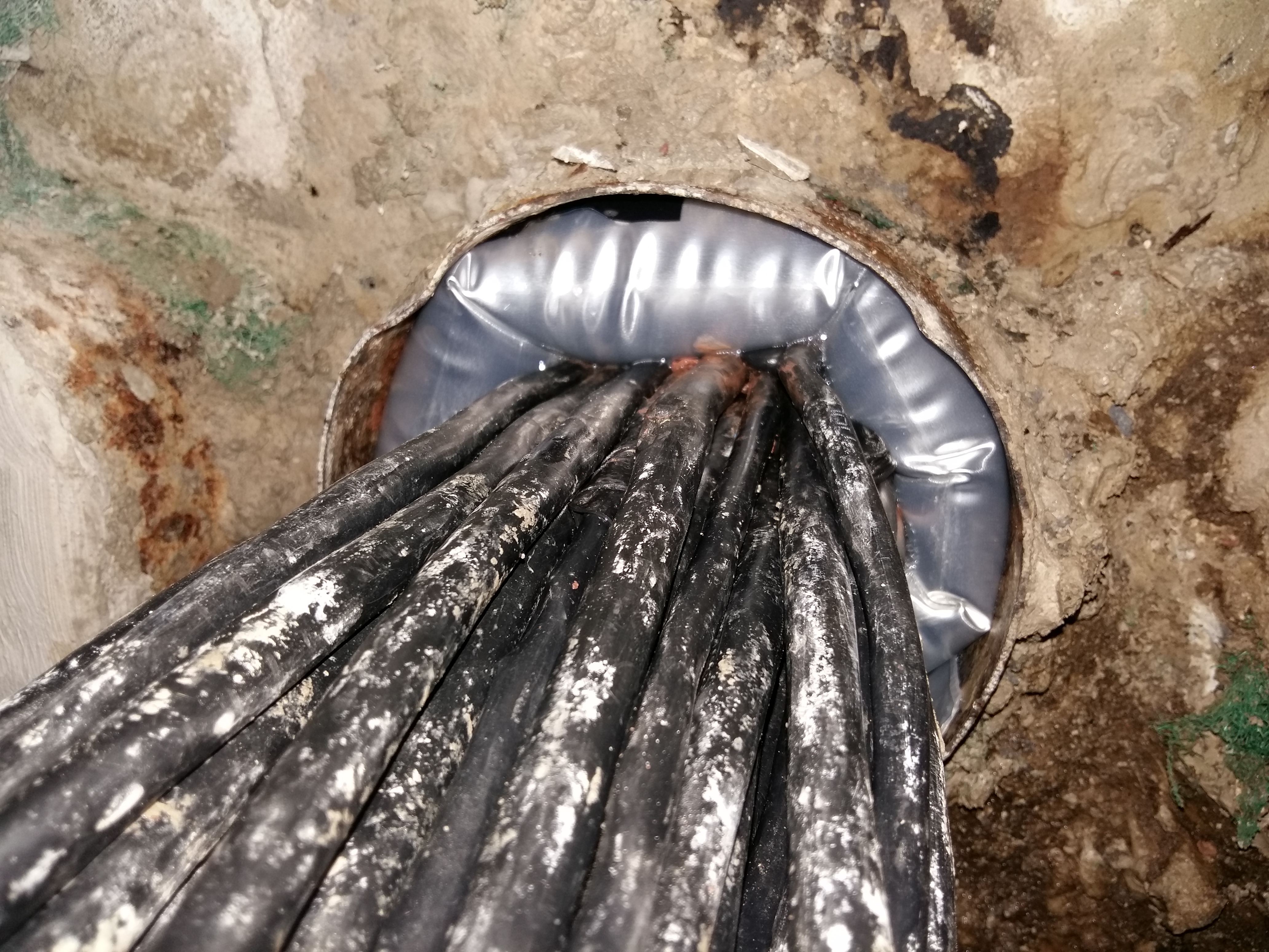 �����|��һ�����o�ܕr�g϶��ô��©�B